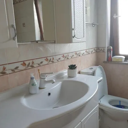 Zvezdica Homestay